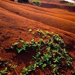 《真人快打》开发商：新作消息要等时机合适时公布